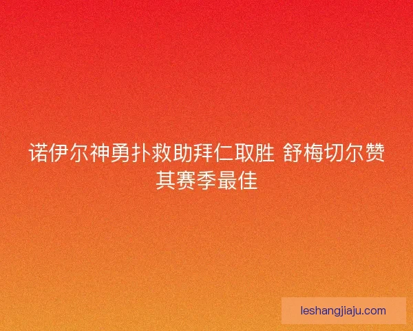 诺伊尔神勇扑救助拜仁取胜 舒梅切尔赞其赛季最佳